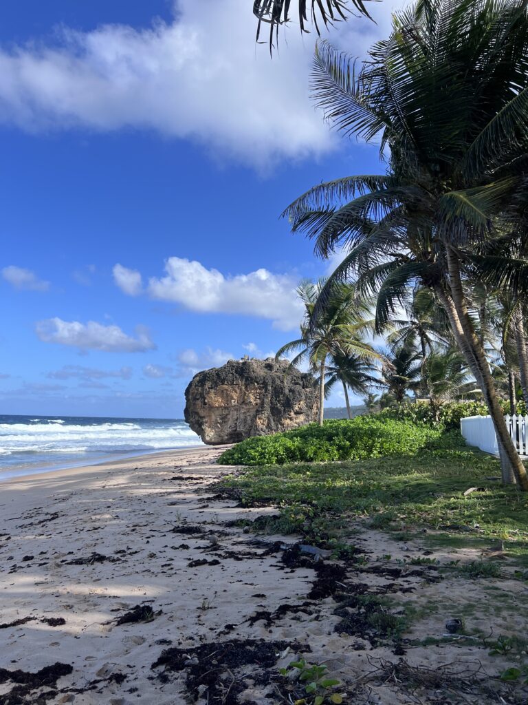 Bathsheba Beach - Barbados.